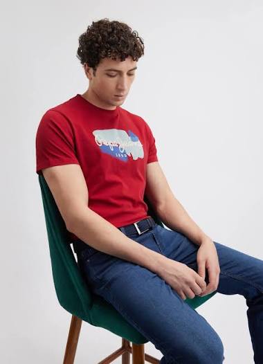 Rugby Men's Premium T-Shirt